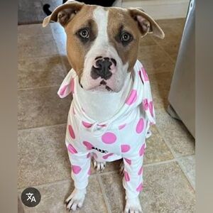 Bark Pink and White Polka Dot Hoodie